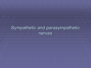 Sympathetic and Parasympathetic