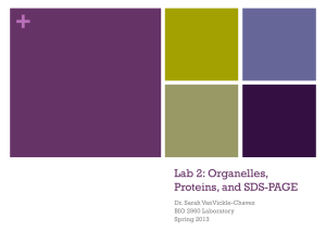 2960 Lab 2 NOTES