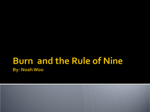 Burn and the Rule of Nine By: Noah Woo