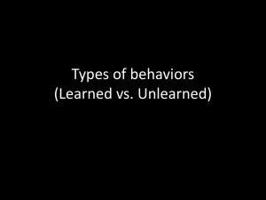 ppt