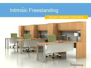 Intrinsic Presentation ppt