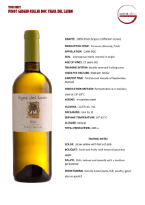 PINOT GRIGIO COLLIO DOC VIGNA DEL LAURO