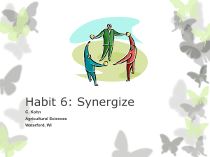 Habit 6: Synergy - Teamwork & Valuing Differences