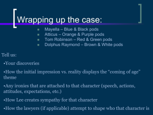To Kill a Mockingbird Mock Trial & Case Overview