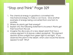 Chap 7 Photosynthesis RC ST (Students)