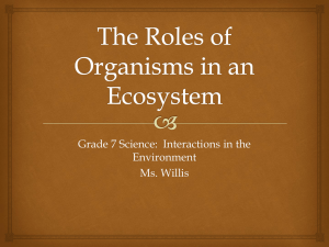 Ecosystem Roles: Producers, Consumers, Decomposers (Grade 7)