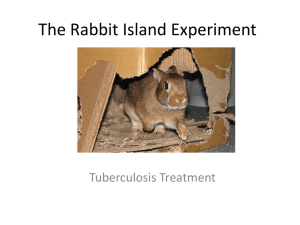 Rabbit Island Experiment: TB Treatment & Germ Theory