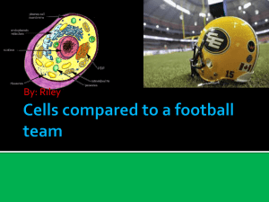 Cell Organelles as a Football Team Analogy