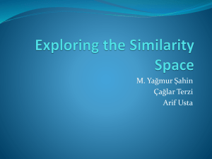 Exploring the Similarity Space