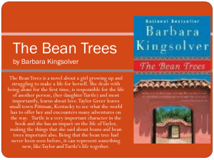 The Bean Trees Study Guide: Chapter Questions & Vocabulary