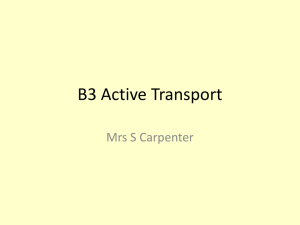 B3 Active Transport slc
