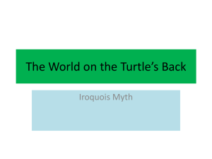 Turtle Assignment