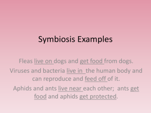 Symbiosis Worksheet: Mutualism & Parasitism Examples