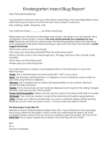 Kindergarten Insect/Bug Report