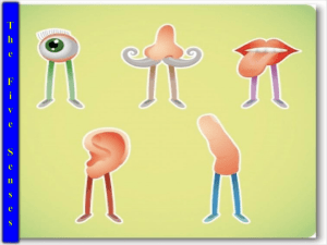 Taste-BUDS-Lesson
