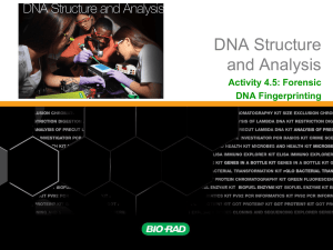 Forensic DNA Fingerprinting: Activity 4.5 Analysis