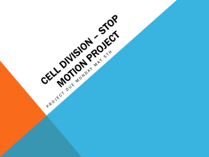 Mitosis Stop-Motion Project: Cell Division Animation