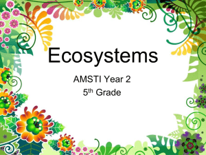 Ecosystems Lesson Plan: 5th Grade Science