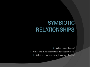 Symbiosis: Types & Examples - Biology Presentation