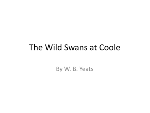 Yeats' Wild Swans at Coole: Poem Analysis