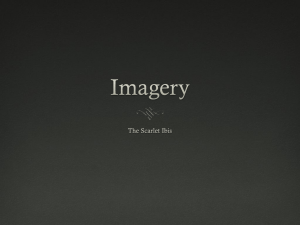 Imagery in The Scarlet Ibis: Sensory Details & Analysis