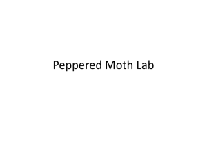 Peppered Moth & ClipBirds Lab: Natural Selection & Adaptation