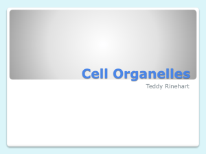 Cell Organelles - Monroe County Schools