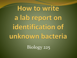 Writing a Bacteria Identification Lab Report: Biology 225 Guide