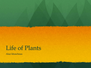 Akar`s plant powerpoint