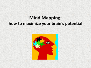 Presentation Slides