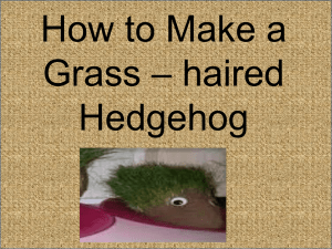 You will need