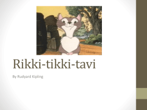 Rikki-tikki-tavi: Analysis & Discussion