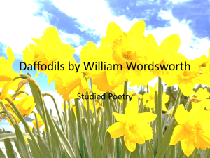 Daffodils Poem Analysis Worksheet