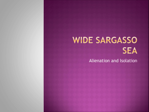 Wide Sargasso Sea: Alienation and Isolation Analysis