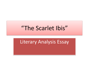 *The Scarlet Ibis* Essay