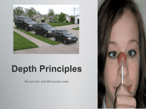 Monocular & Binocular Depth Cues: Visual Perception