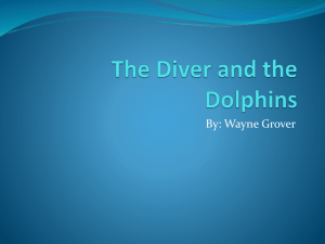 The Diver and the Dolphins