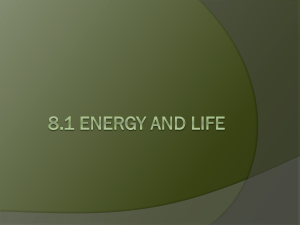 Photosynthesis & Cellular Respiration Presentation