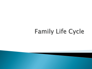 Family Life Cycle