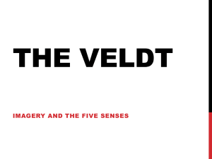 "The Veldt": Imagery & Five Senses Worksheet