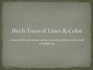 Birch Tree Art Lesson Plan: Line, Color, Overlapping