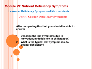 Module VI: Nutrient Deficiency Symptoms