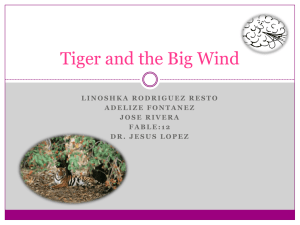 Tiger and the Big Wind: A Fable About Sharing