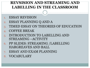 Revision, Streaming & Labelling in Education