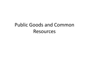 Public Goods & Common Resources: Economics Presentation