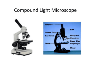 Microscopes: Light vs. Electron - High School Biology