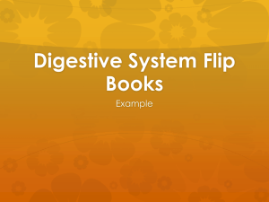 flip book presentation - Instructionaltechnologyvolk