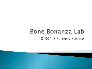 10/30 Bone Bonanza Lab
