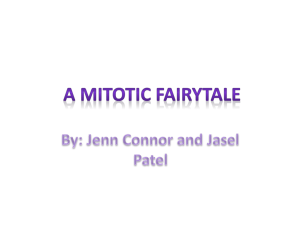 Mitosis Fairytale: Cell Division Explained Simply
