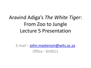 The White Tiger: Body Representations & Themes